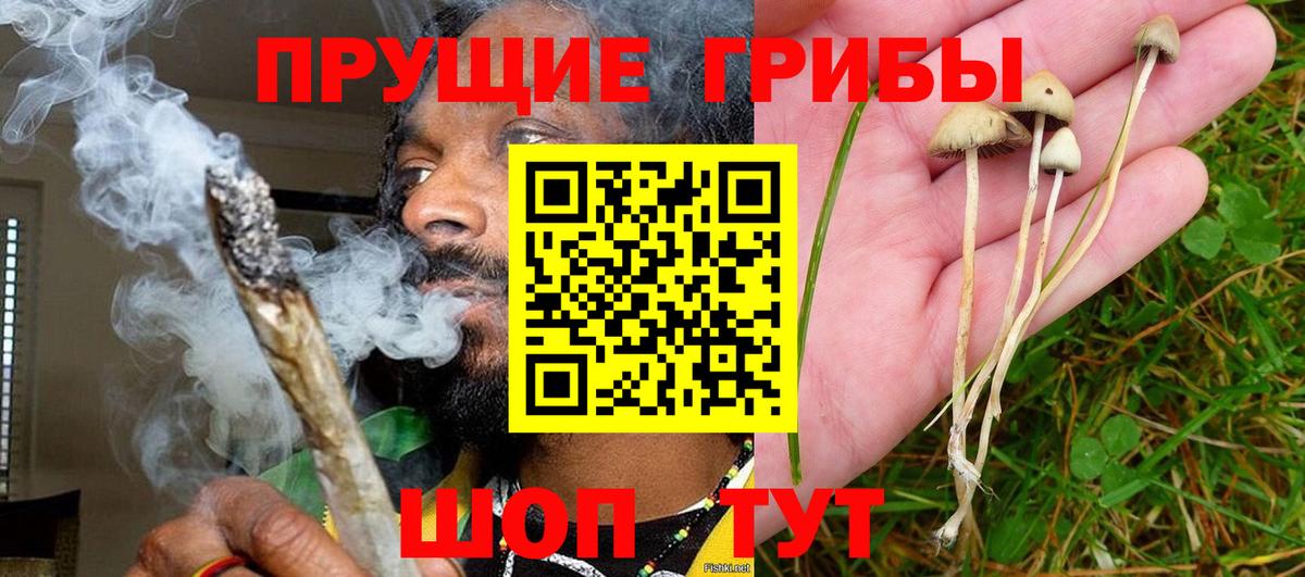 Галлюциногенные грибы прущие грибы  Псилоцибиновые грибы ЛСД  Вход с VPN  Новокуйбышевск 